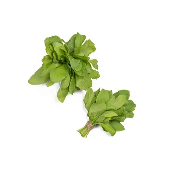 Spinach (46)-6587033-69758.webp